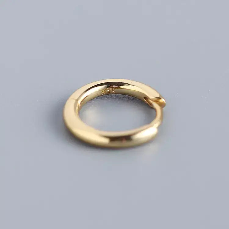 Brincos Circulares Elegance S925
