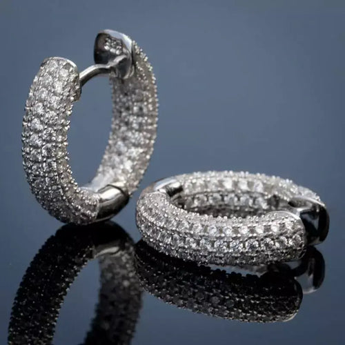 Brincos Circle Zircon