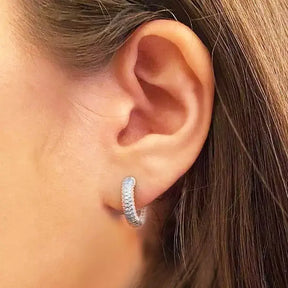 Brincos Circle Zircon