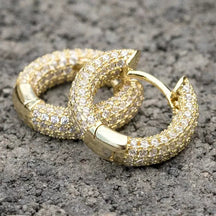 Brincos Circle Zircon