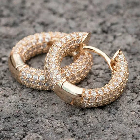 Brincos Circle Zircon